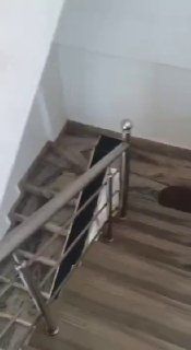 2 BHK, Морджим — аренда в Гоа