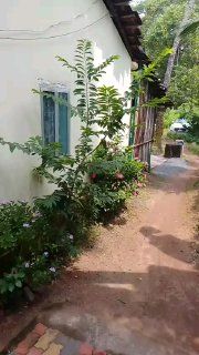 Аренда 3BHK в Гоа, Морджим