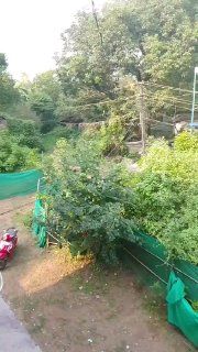 Аренда 3BHK в Гоа, Морджим