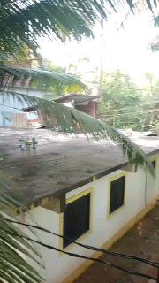 Аренда 1BHK в Гоа, Морджим