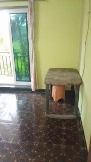 Аренда 1BHK в Гоа, Морджим