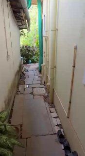 Аренда 1BHK в Гоа, Морджим