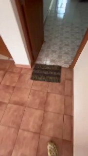 1 BHK, Морджим — аренда в Гоа