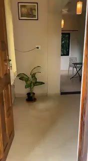 1 BHK, Морджим — аренда в Гоа