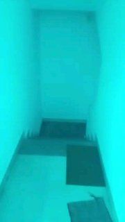 Аренда 1BHK в Гоа, Морджим