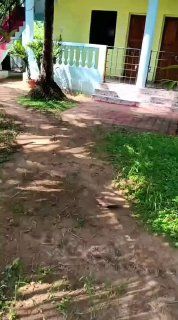 2 BHK, Морджим — аренда в Гоа