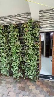 1 BHK, Нижний Мандрем — аренда в Гоа