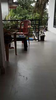 1 BHK, Верхний Мандрем — аренда в Гоа