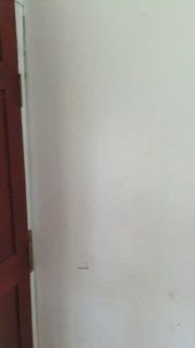 2 BHK, Арамболь — аренда в Гоа