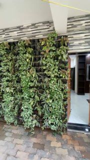 Аренда 1BHK — Мандрем