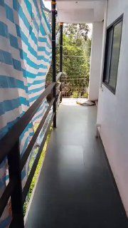 Аренда 1BHK в Гоа, Верхний Мандрем