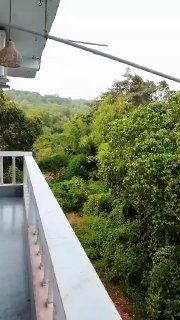 Аренда 1BHK в Гоа, Ашвем