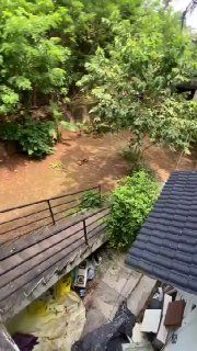 2 BHK, Морджим — аренда в Гоа