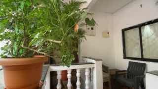 1 BHK, Арамболь — аренда в Гоа