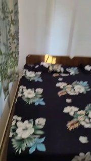 1 BHK, Арамболь — аренда в Гоа