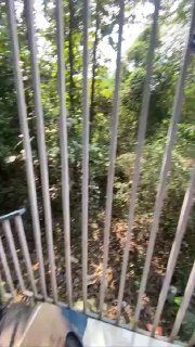 2 BHK, Нижний Мандрем — аренда в Гоа