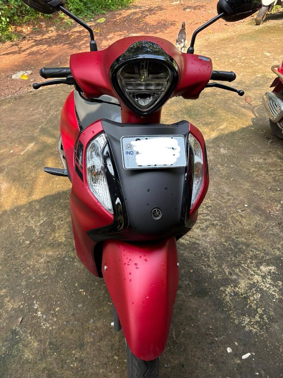 Yamaha Dio в Гоа