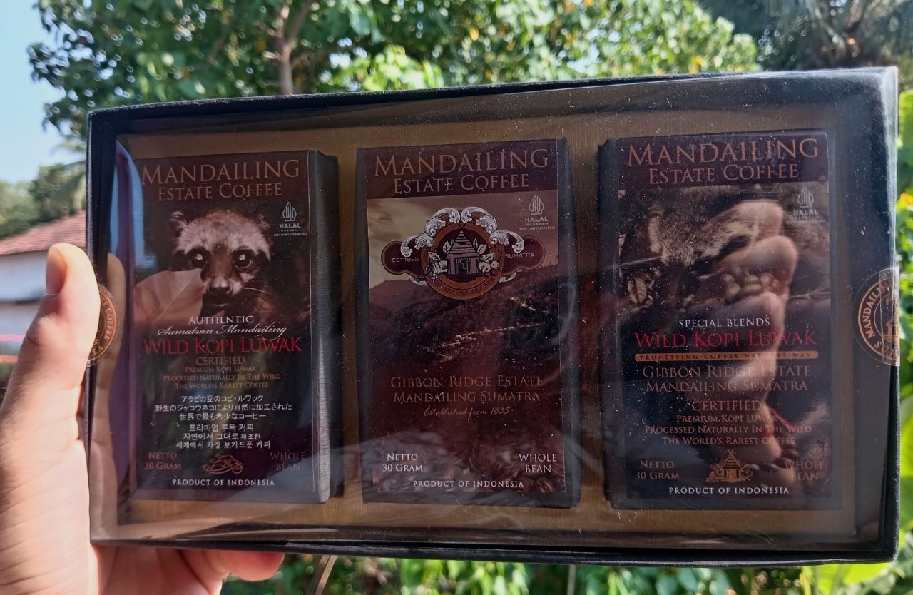 Кофе Kopi Luwak Mandailing Estate — фото 2